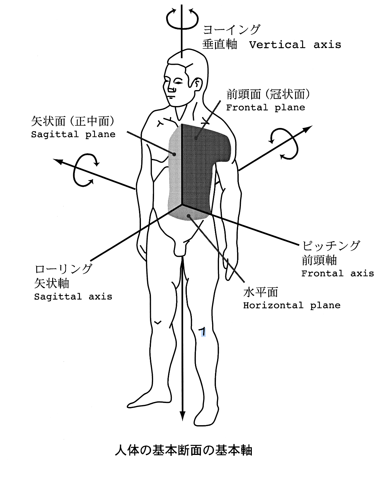 第27回施術技能研究会について